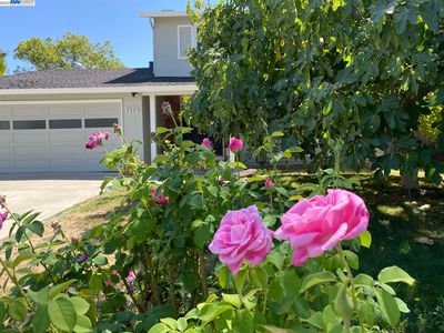 7173 S Valley Trails Dr, Pleasanton, CA, 94588