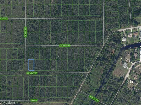 609 Gadwall Ave, Lake Placid, FL 33852