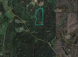 3284 Maynards Mill Rd, Forsyth, GA 31029