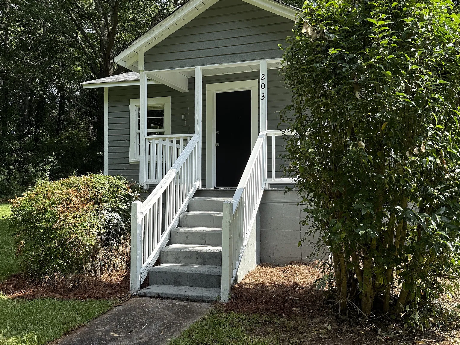 203 Webster Street - 1 — Photo 1