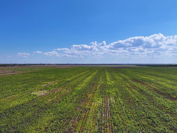 3rd image of Fm 53