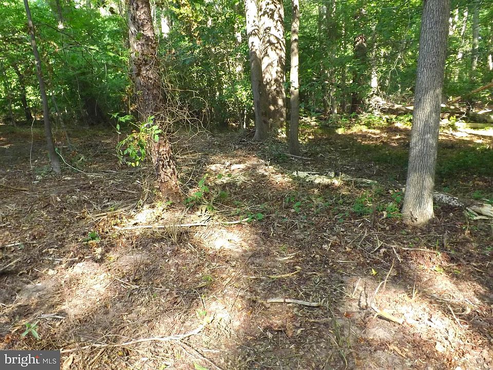 2nd image of Croom Rd