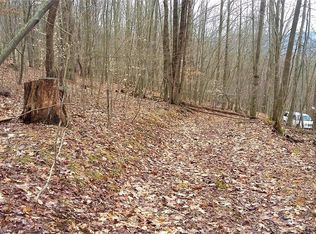 4616 Mackey Rd, Avoca, NY 14809