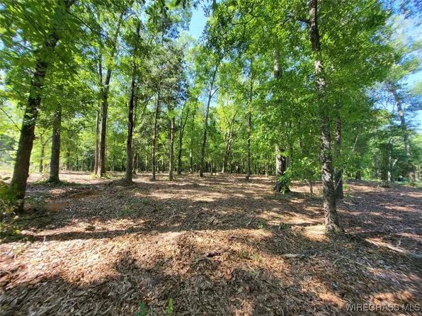 102 Preserve Dr, Enterprise, AL 36330