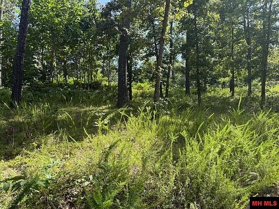 5th image of 267 County Road 987