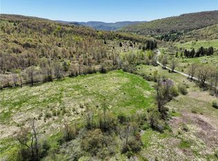 0 Chambers Hollow Rd, Hamden, NY 13782