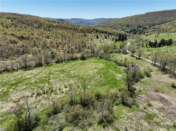 0 Chambers Hollow Rd, Hamden, NY 13782