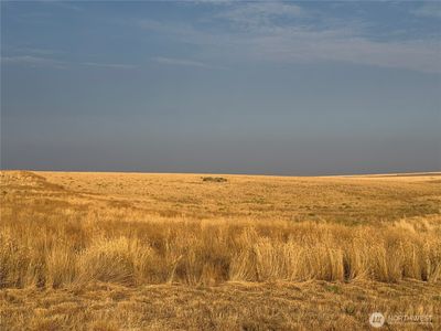 0 TBD Road 11, Marlin, WA, 98832