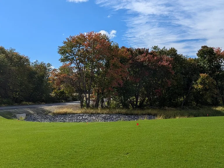 Rose Meadows — Photo 13