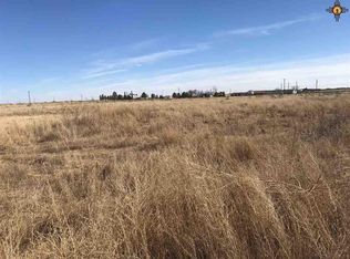 7314 N Kornegay Ln, Hobbs, NM 88242
