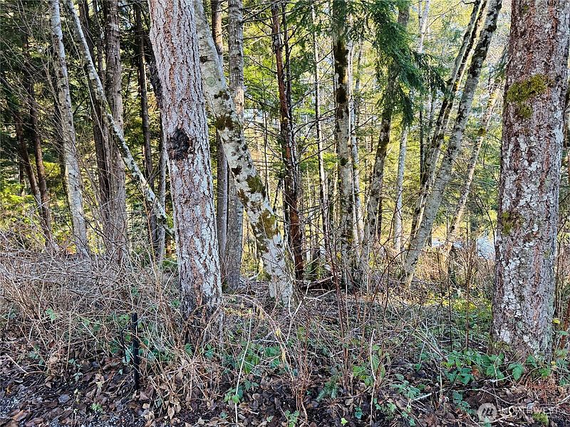 4th image of 0 NE Lake Christine Road