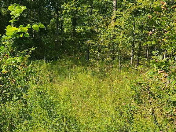 2nd image of LOT 5 Mel Hall Rd