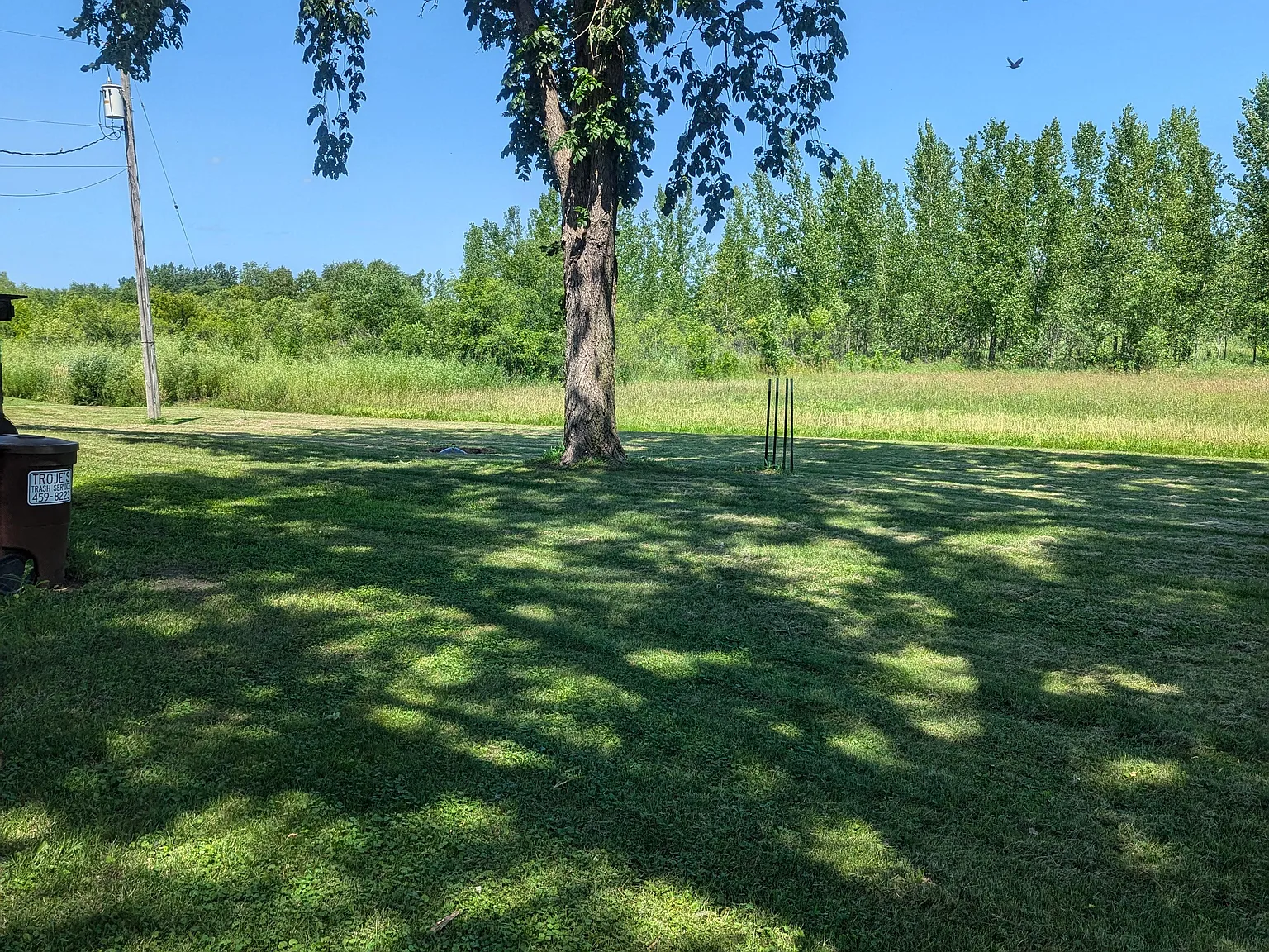 3 bed, 1000 sqft, $1,350 — Photo 4