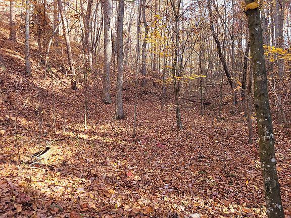 4th image of 0 Blackburn Hollow Rd NW Lot 100ACRES