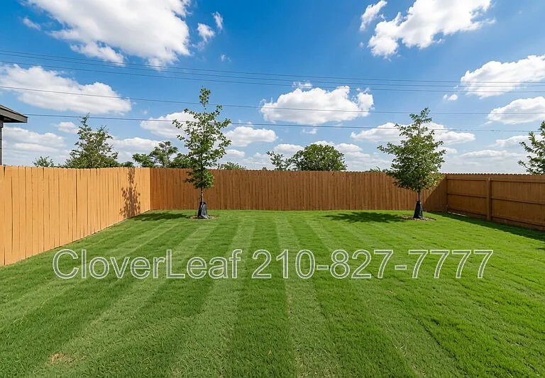 165 Acorn Cir — Photo 31