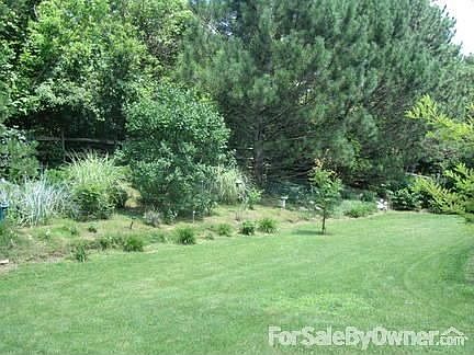 Backyard. All of yard is already landscaped.