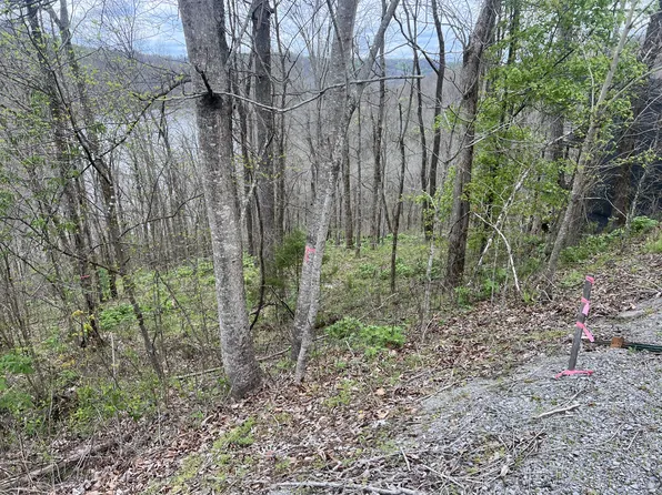 132 Lakeview Dr Lot 132, Smithville, TN 37166