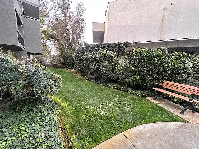 Common Outdoor area