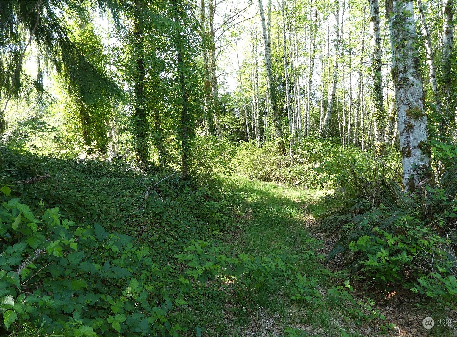 101 HWY 101 Highway, Forks, WA 98331 Zillow