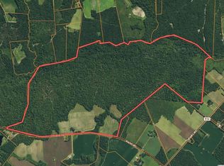 Radio Rd, Hemingway, SC 29554