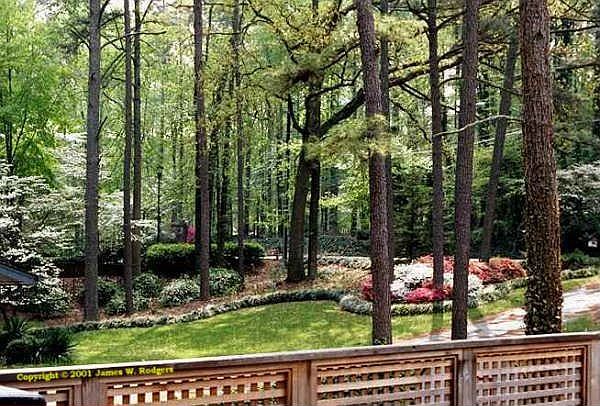 View from the Deck off the Sun Room