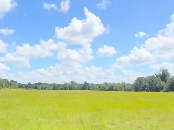 1714 Cale Yarborough Hwy, Timmonsville, SC 29161