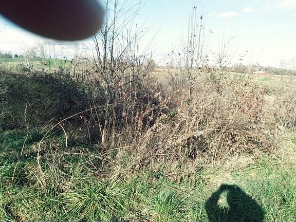 3rd image of 0 Cumberland Dr