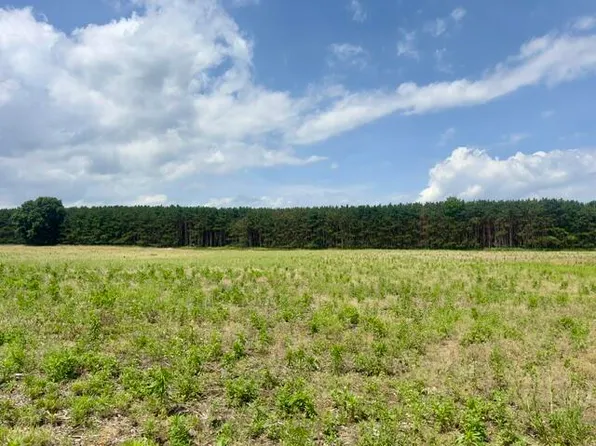 0 Seymour Rd Parcel F, Grass Lake, MI 49240