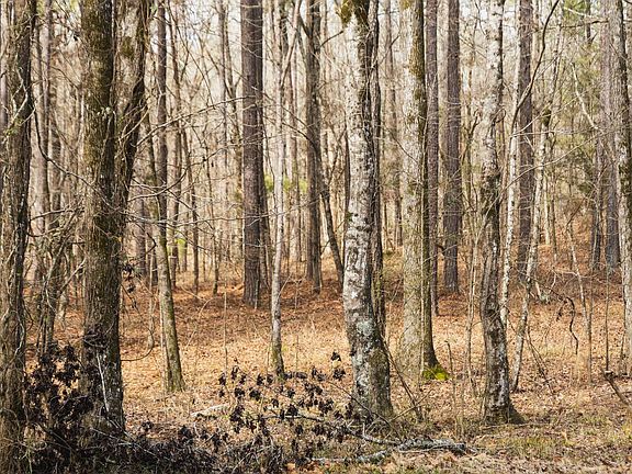 4th image of 0 Calhoun Rd