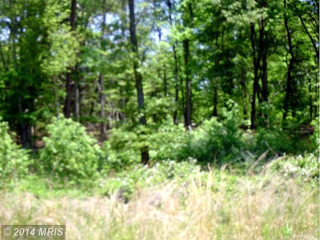 2nd image of 30560 Lakota Ln