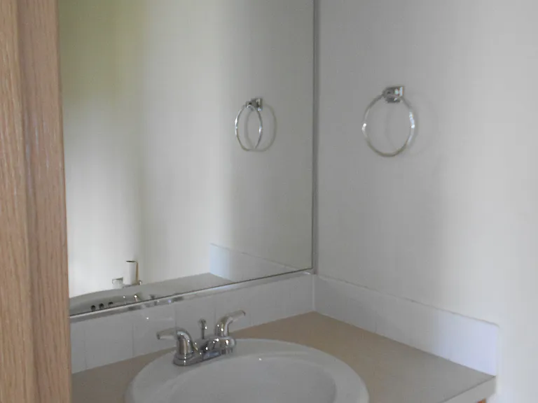 Vanity in downstairs 1/2 bath.