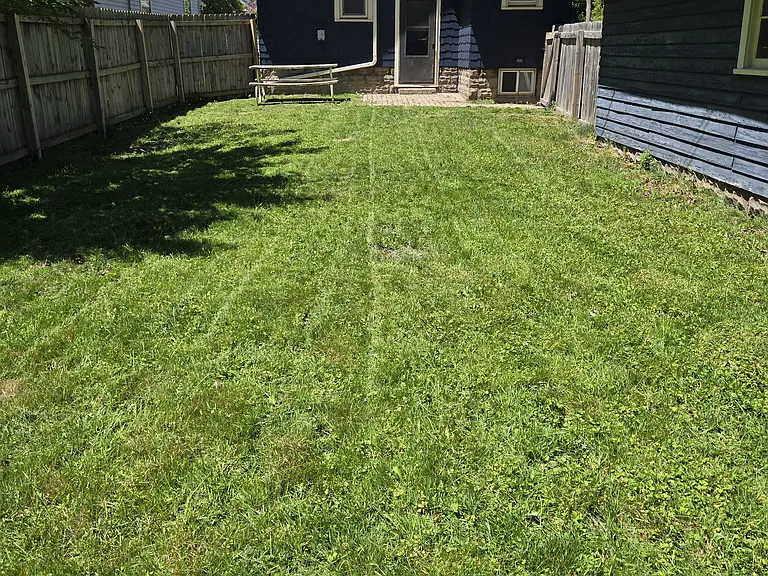 Backyard (6ft fence)