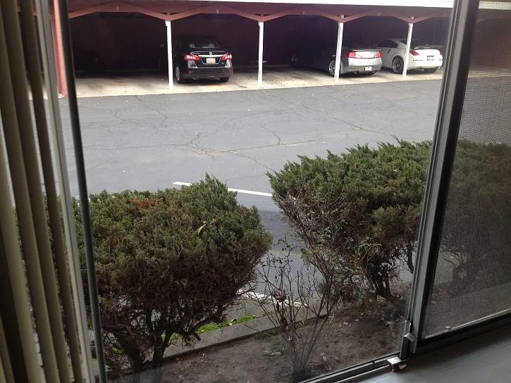 2657 Riverside Blvd #7A — Photo 8