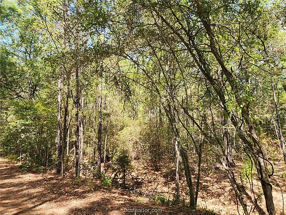2nd image of LOT 25 Honeylocust Ln