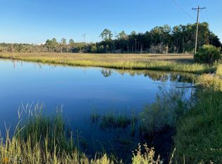 245 Sheffield Island Rd, Woodbine, GA 31569