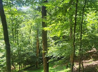 0 Mohawk Trl, Ellijay, GA 30540