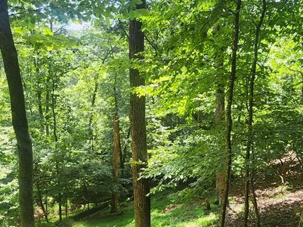 0 Mohawk Trl, Ellijay, GA 30540