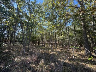 LOT 14 Shady Oaks Ln, Somerville, TX, 77879