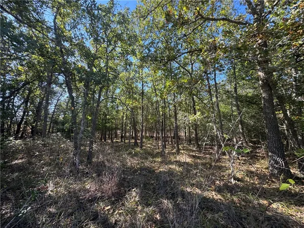 LOT 14 Shady Oaks Ln, Somerville, TX 77879