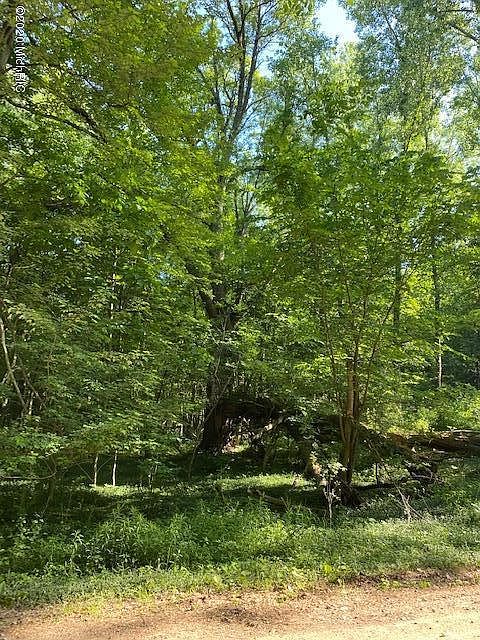 2nd image of 0 W C Ave