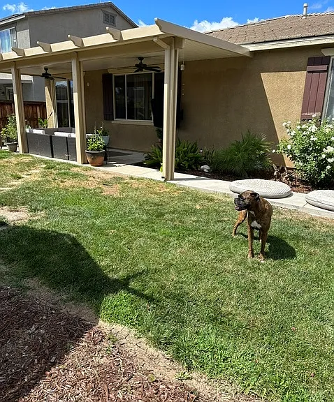 29451 Bouris Dr — Photo 3