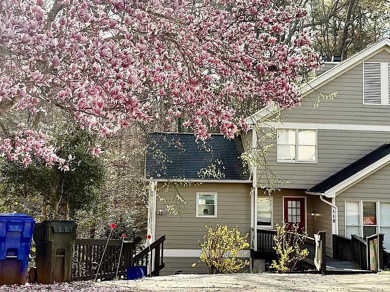 110 Mallard Ct — Photo 1