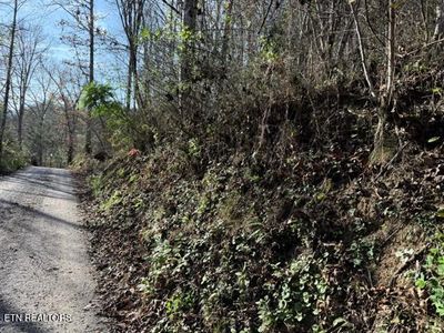 1550 Chapel Hollow Rd, Del rio, TN, 37727