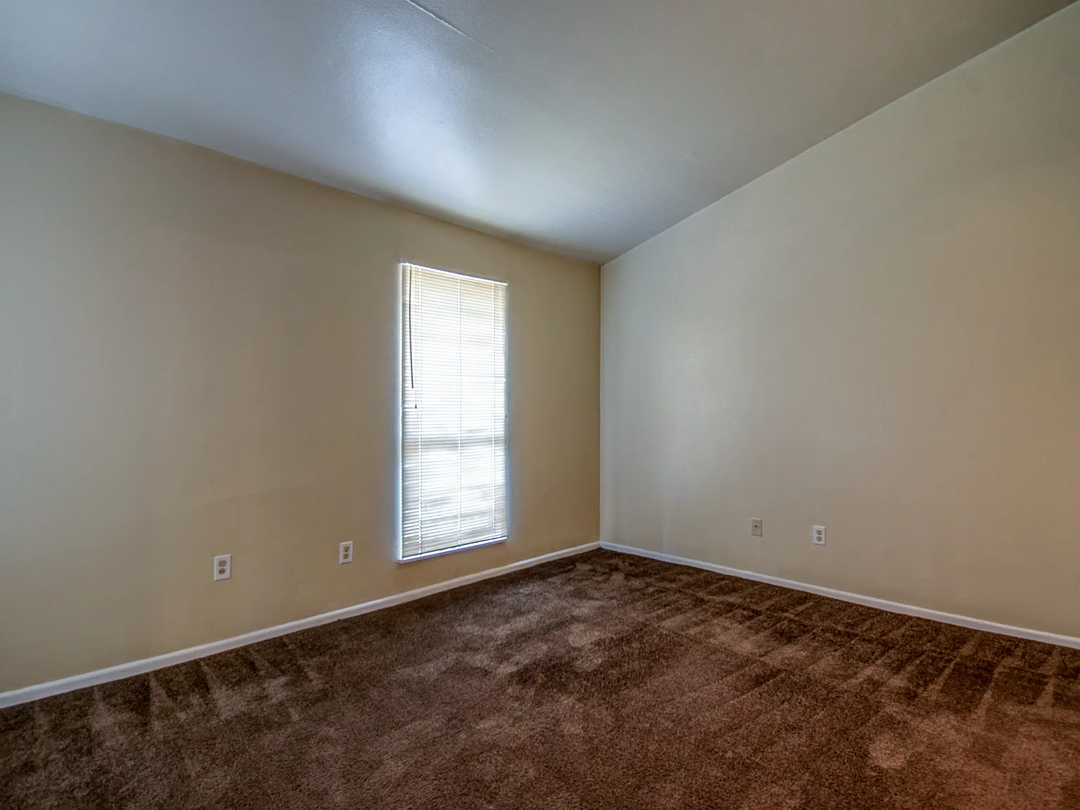Bay Bluff Apartments — Photo 4