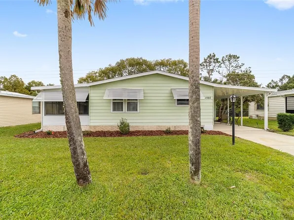 1507 E Schwartz Blvd, Lady Lake, FL 32159