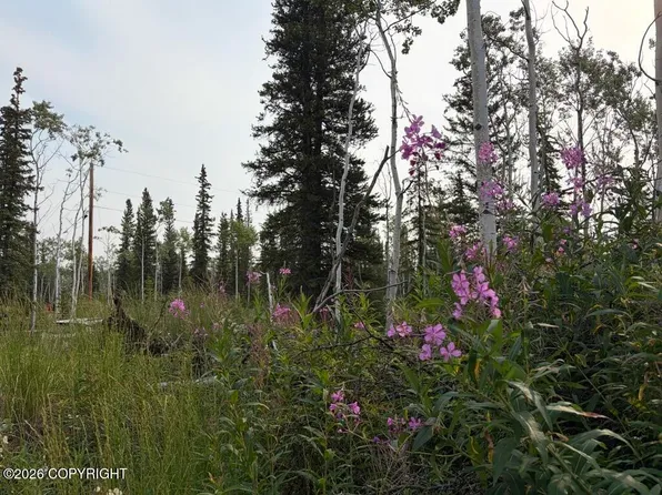 LOT 15 Drucke Miller Rd, Tok, AK 99780