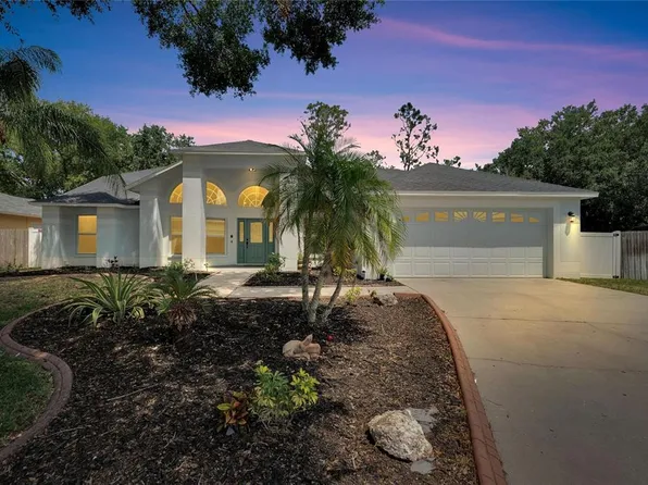 9818 Sunnyoak Dr, Riverview, FL 33569