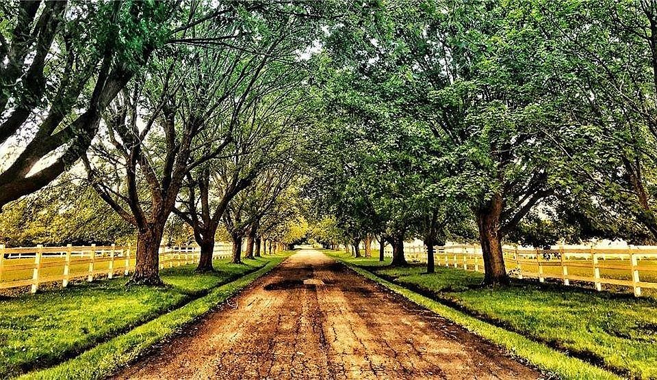 1111 County Road 8, Farmington, NY 14425 Zillow