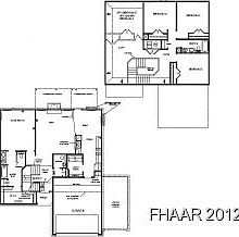 2nd image of 2905 Black Orchid