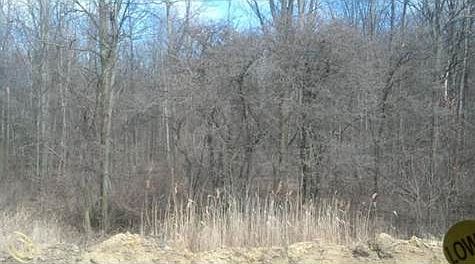 Backyard Photo.jpg